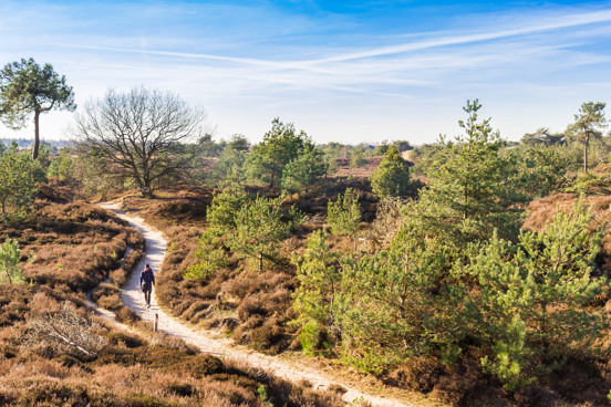 Entdecken Sie die unberührte Natur des Nationalparks Drents-Friese Wold